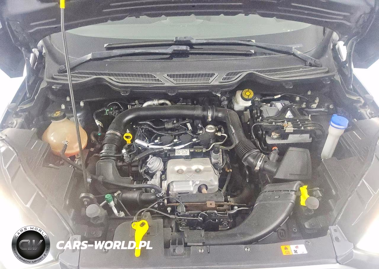 2019 Ford Ecosport Se VIN:MAJ3S2GE7KC254137 - 12