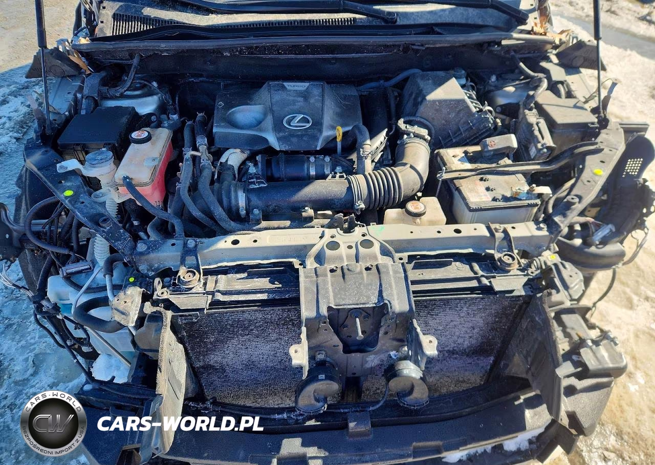 2020 Lexus Nx 300 F Sport VIN:JTJSARBZXL5004146 - 12