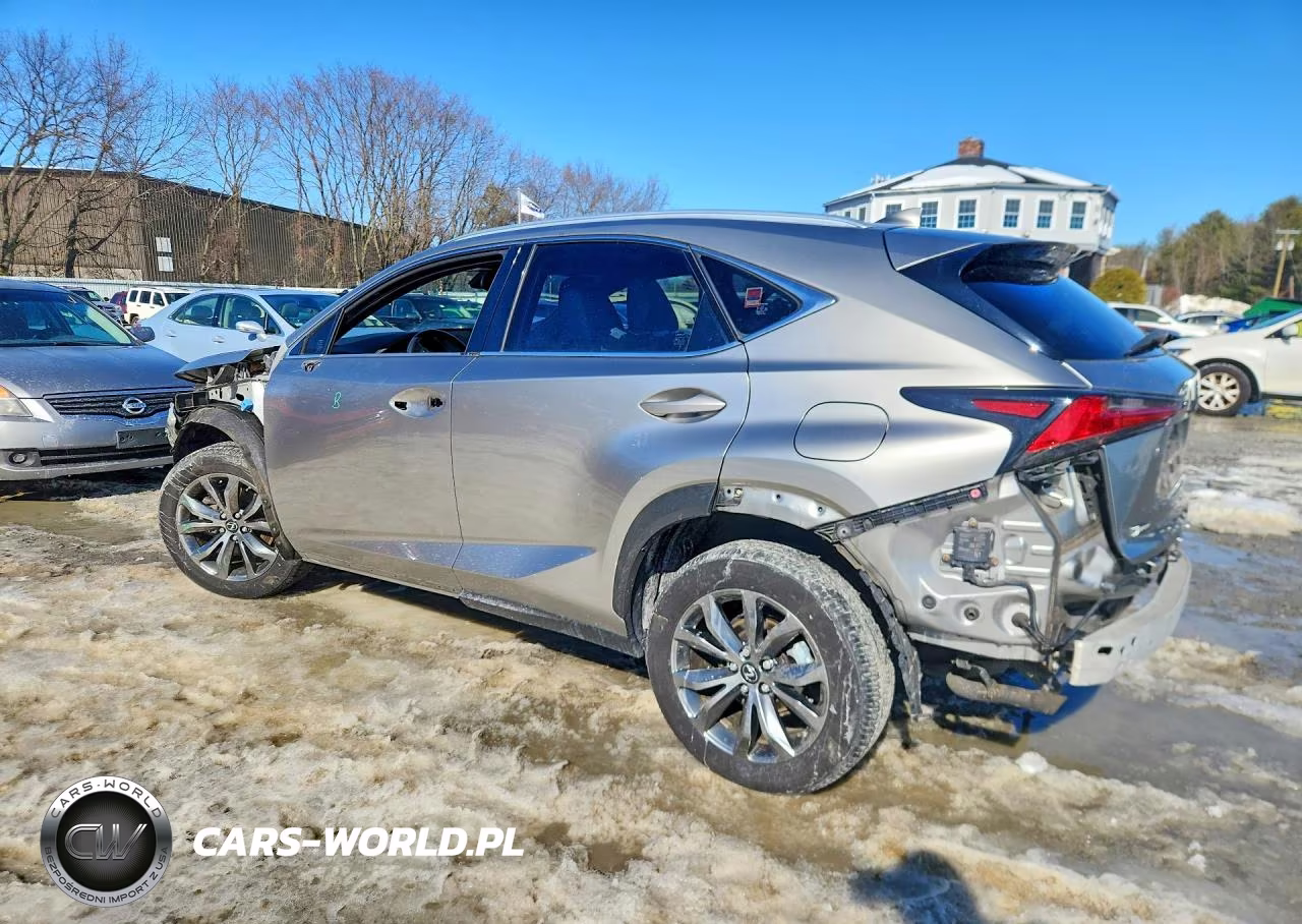 2020 Lexus Nx 300 F Sport VIN:JTJSARBZXL5004146 - 2