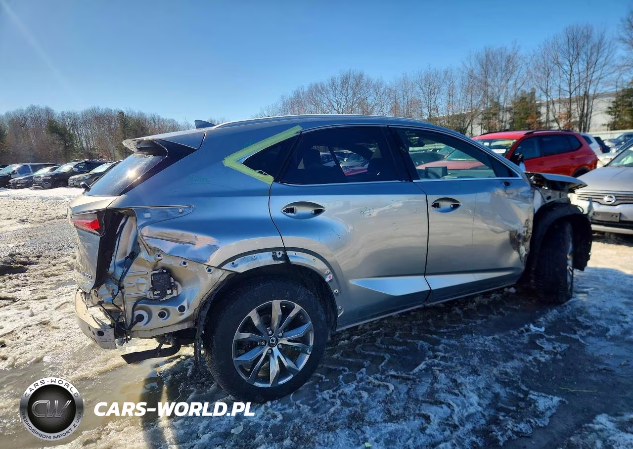 2020 Lexus Nx 300 F Sport VIN:JTJSARBZXL5004146 - 3