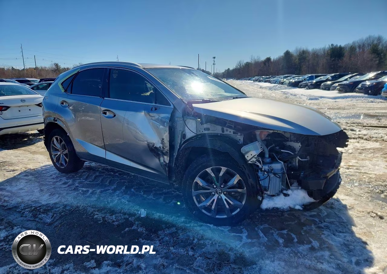 2020 Lexus Nx 300 F Sport VIN:JTJSARBZXL5004146 - 4