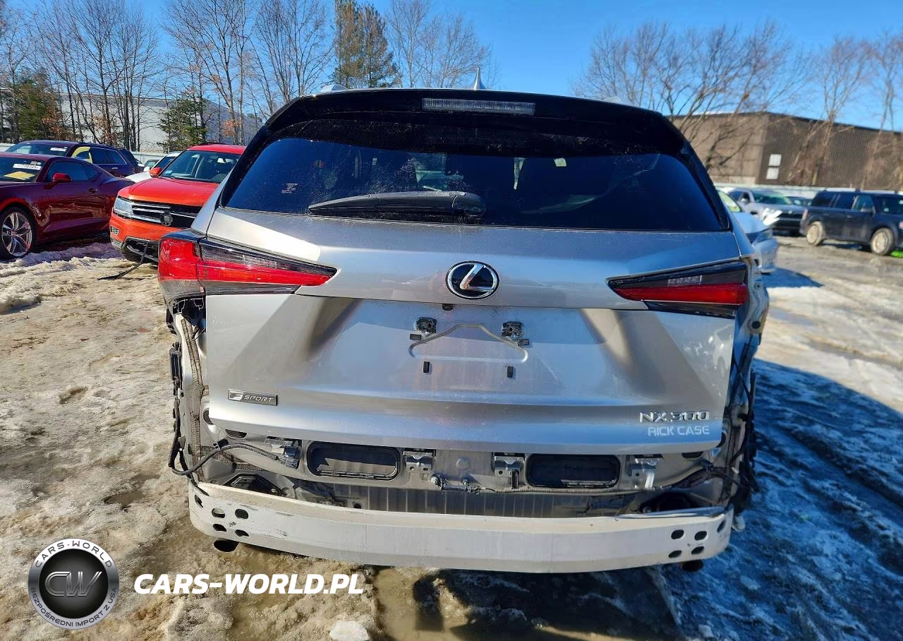2020 Lexus Nx 300 F Sport VIN:JTJSARBZXL5004146 - 6