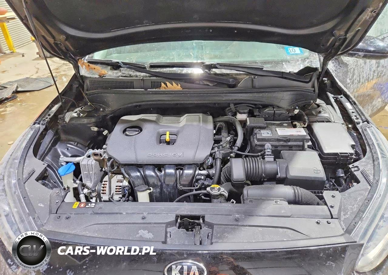 2020 Kia Forte Fe VIN:3KPF24AD6LE193053 - 11
