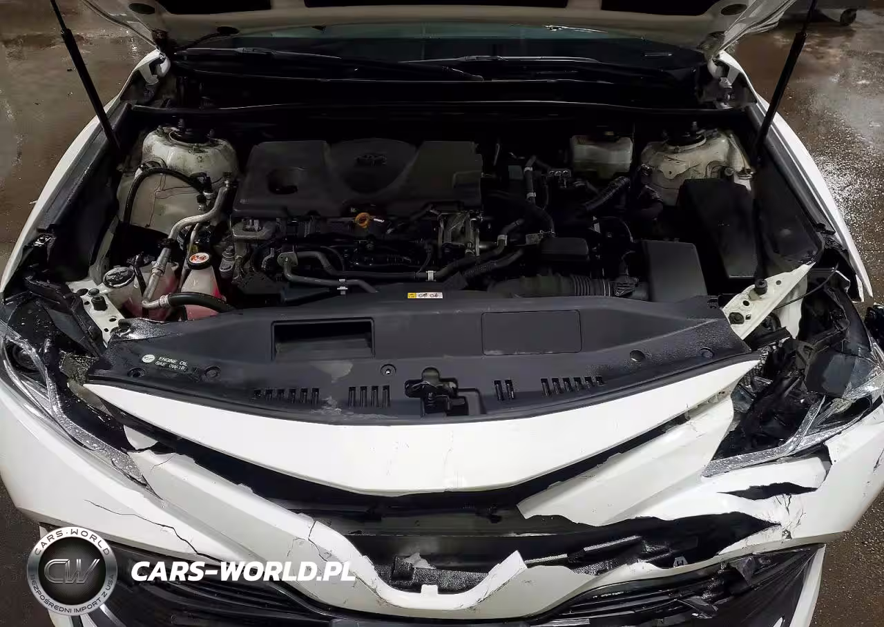 2019 Toyota Camry Hybrid Le VIN:4T1B31HK8KU513354 - 11