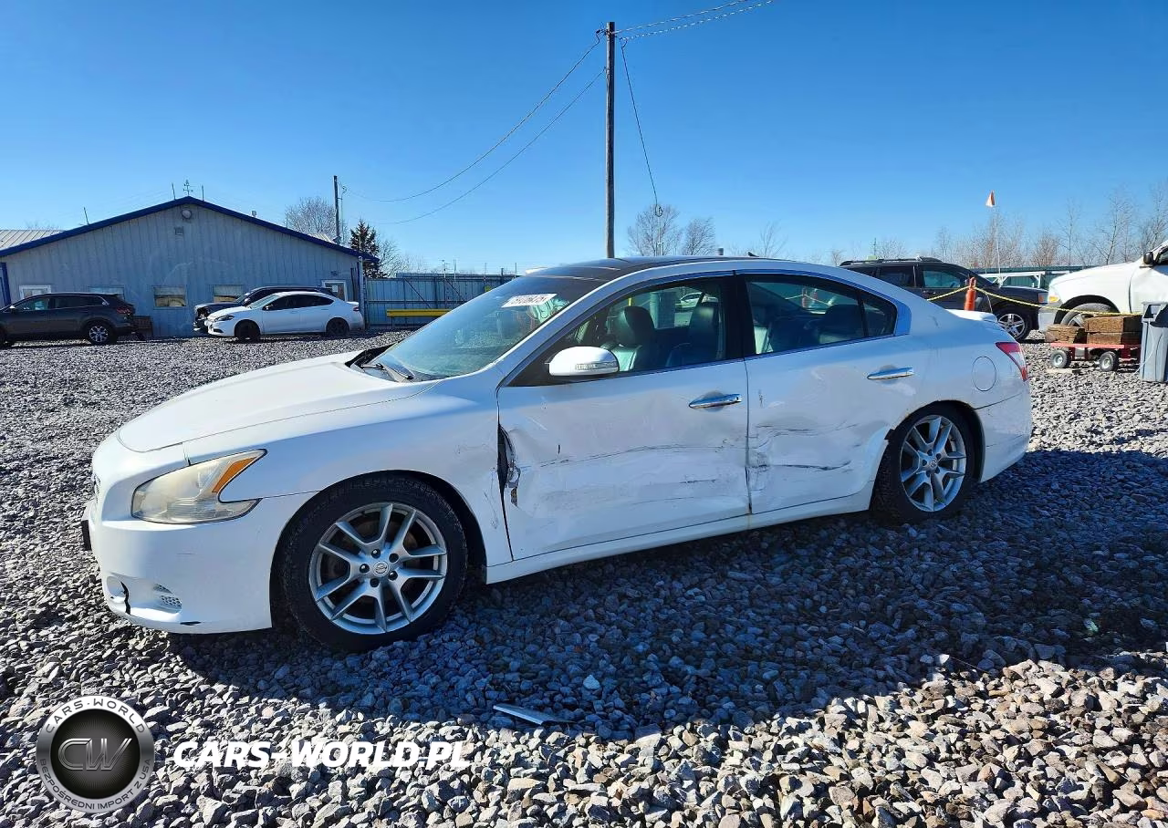 2010 Niss Maxima Sv