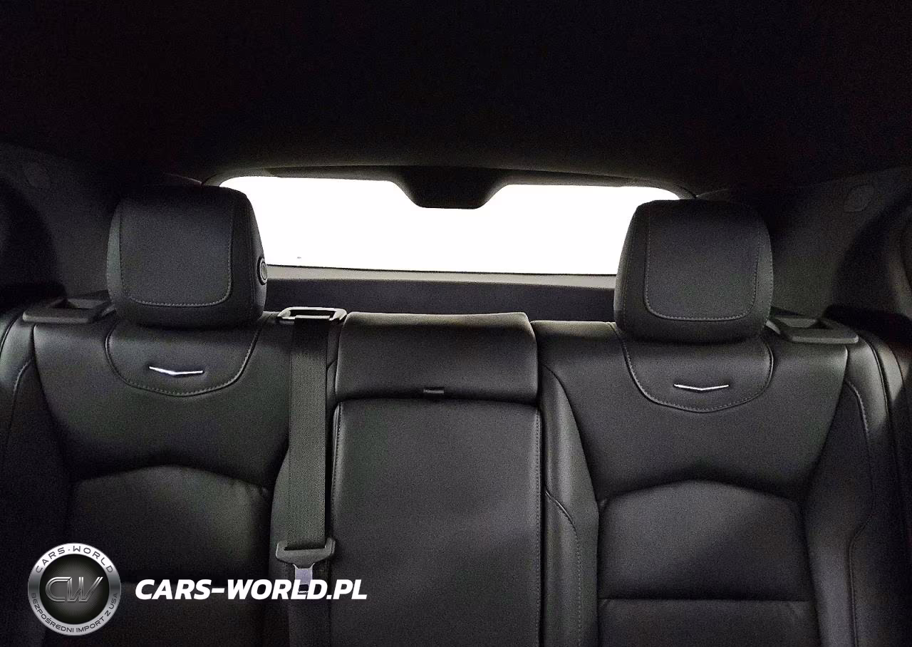 2023 Cadillac Xt4 Premium Luxury VIN:1GYFZCR47PF147411 - 10