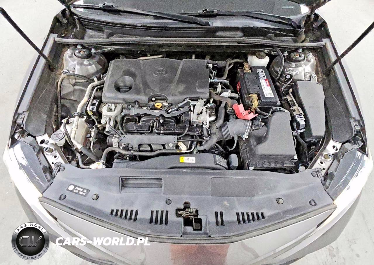 2019 Toyota Camry Le VIN:4T1B11HK3KU274737 - 11