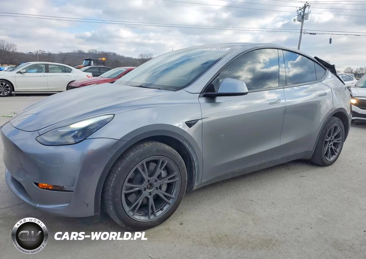 2025 Tesla Model Y