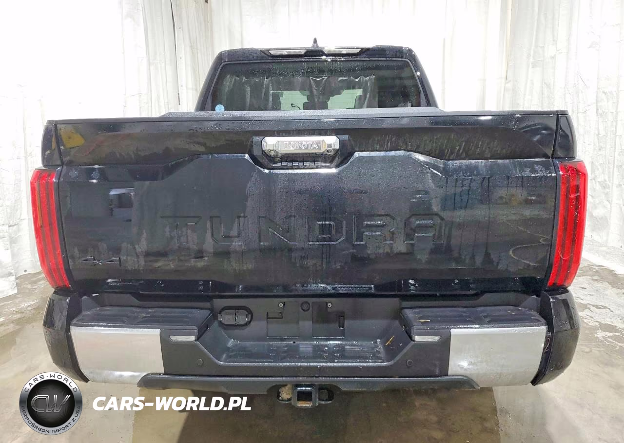 2024 Toyota Tundra Limited VIN:5TFJA5DB1RX234825 - 6