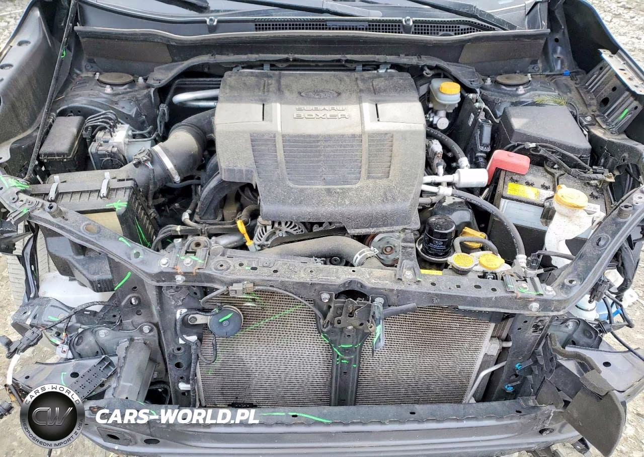 2019 Subaru Forester Limited VIN:JF2SKAUC9KH402893 - 12