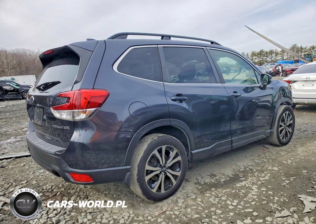 2019 Subaru Forester Limited VIN:JF2SKAUC9KH402893 - 3