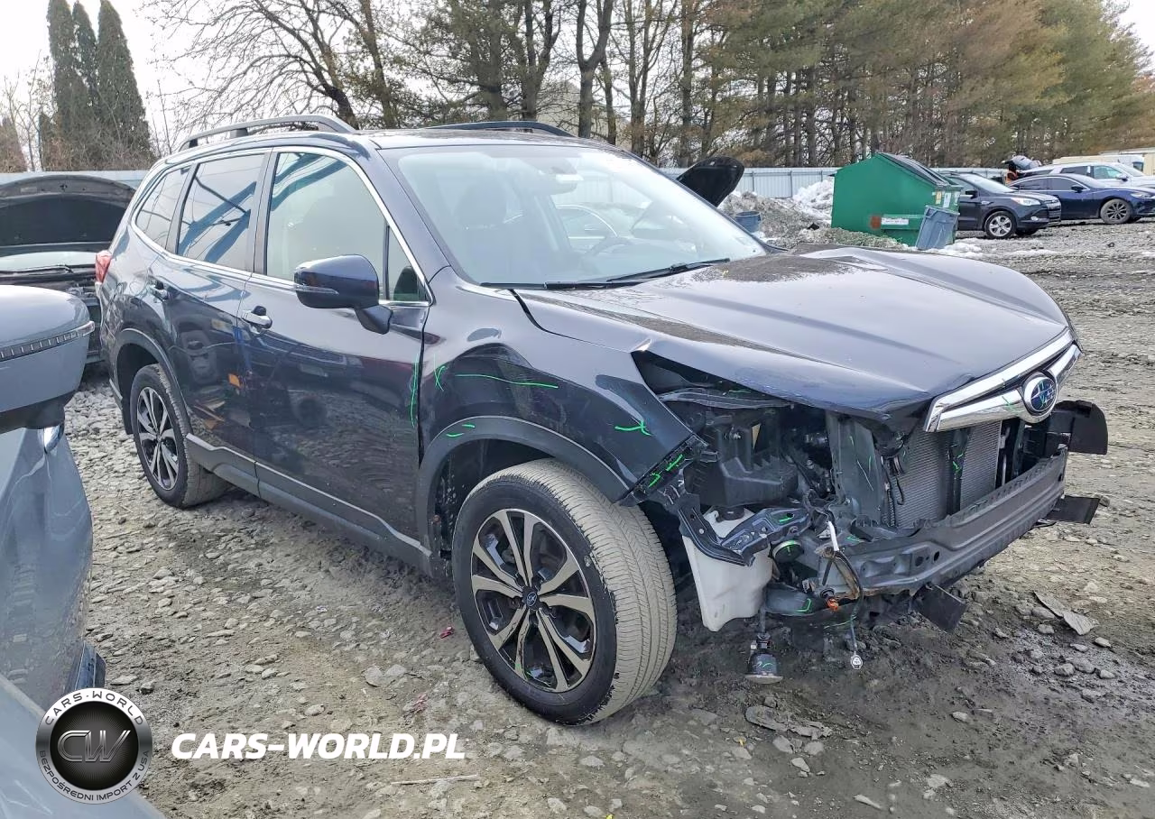2019 Subaru Forester Limited VIN:JF2SKAUC9KH402893 - 4