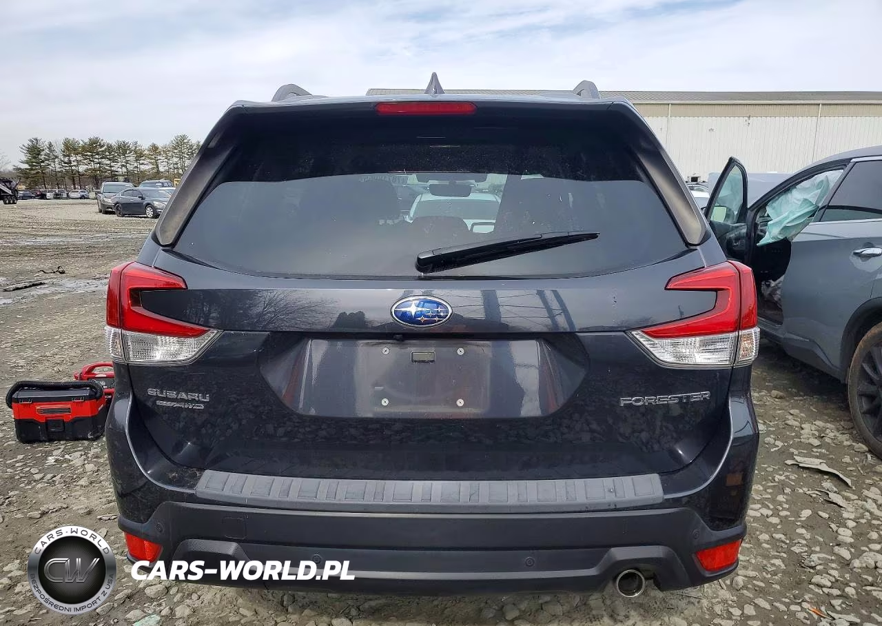 2019 Subaru Forester Limited VIN:JF2SKAUC9KH402893 - 6
