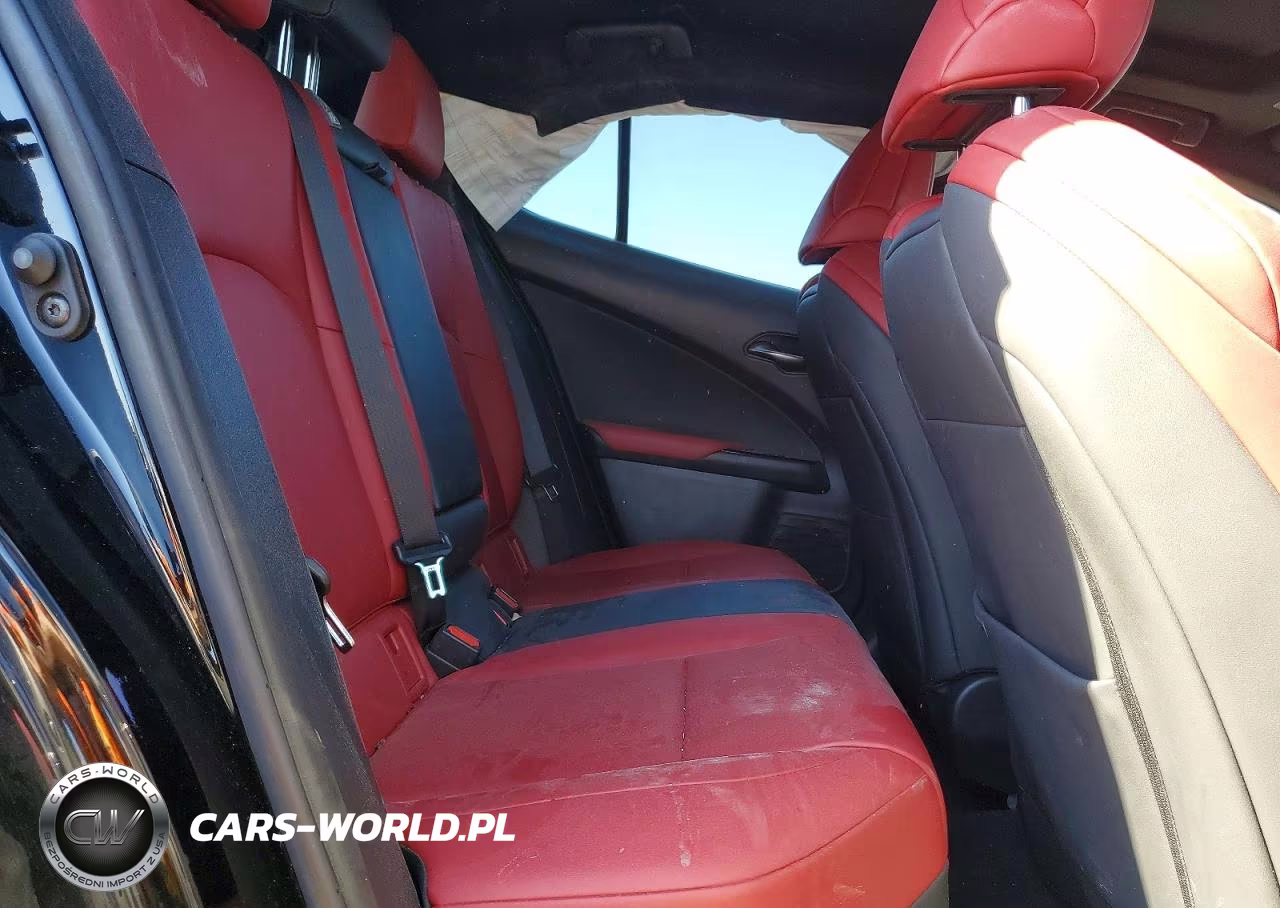 2021 Lexus Ux 200 F Sport VIN:JTHE3JBH6M2035446 - 10