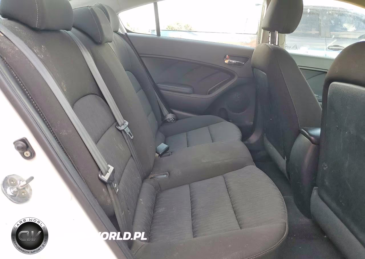 2016 Kia Forte Lx VIN:KNAFK4A60G5457836 - 10