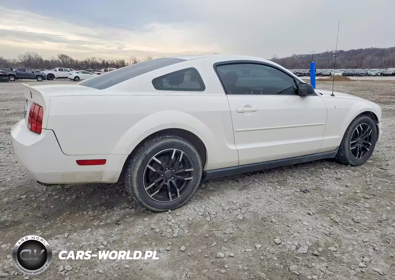 2005 Ford Mustang VIN:1ZVFT80N055191101 - 3