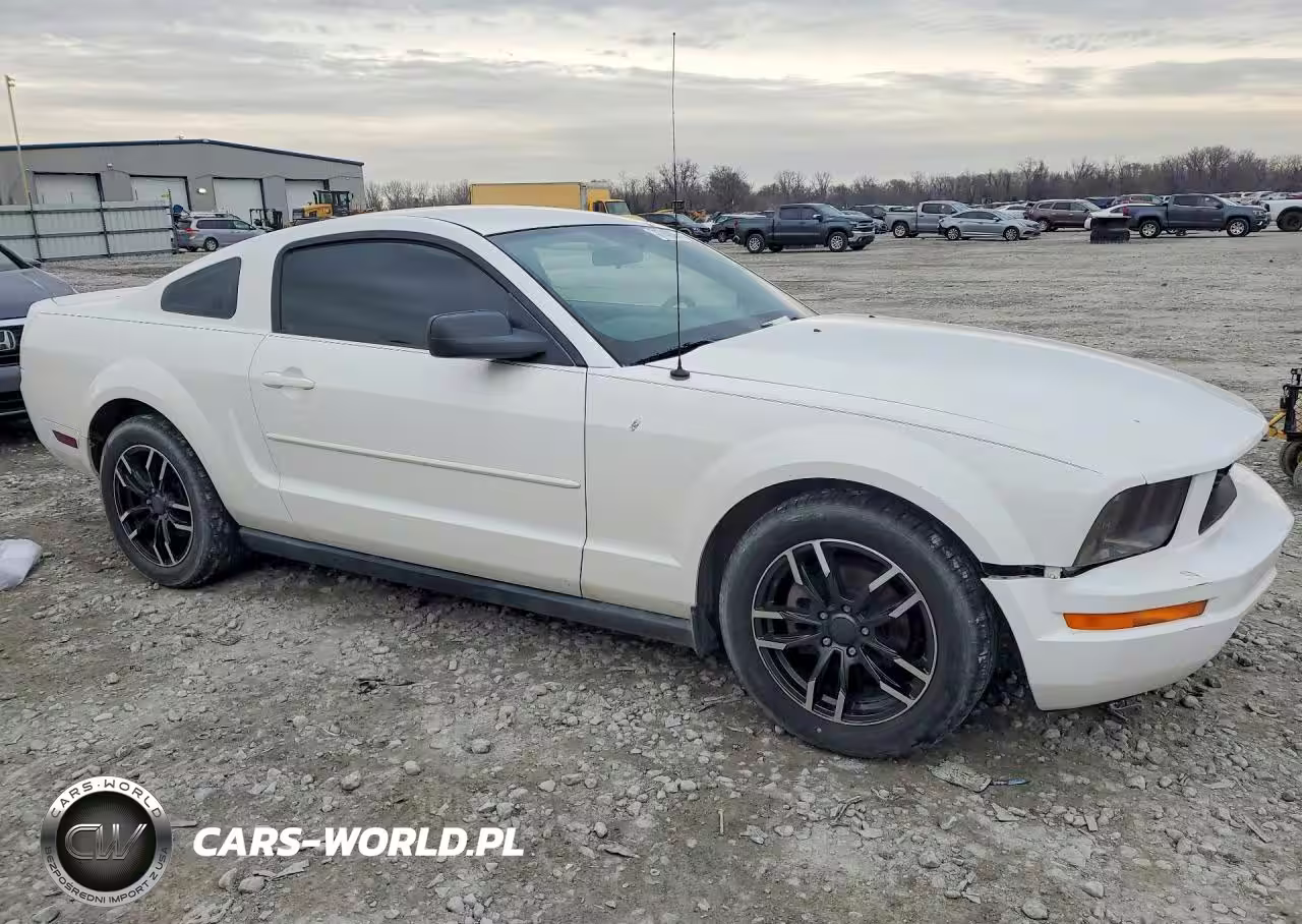2005 Ford Mustang VIN:1ZVFT80N055191101 - 4