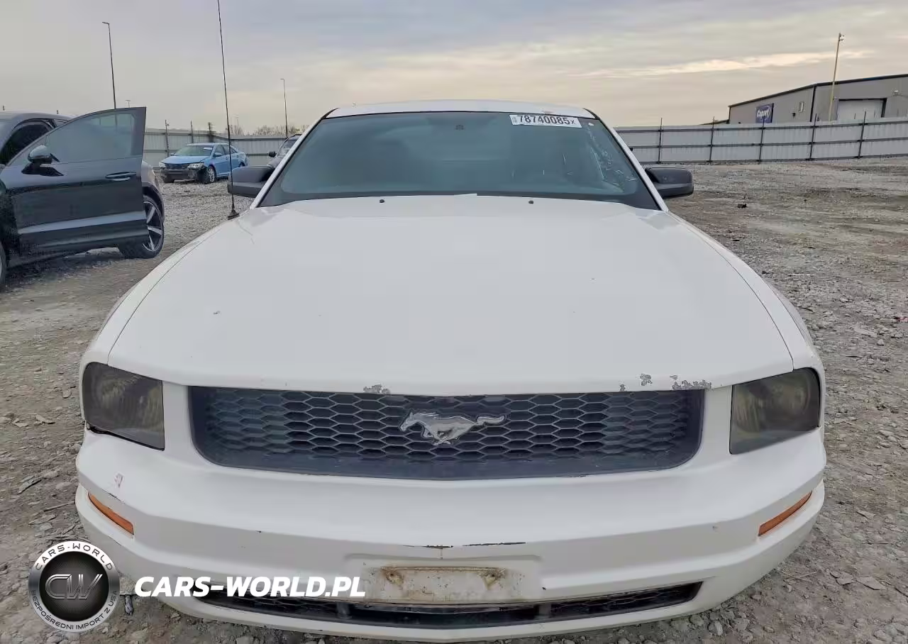 2005 Ford Mustang VIN:1ZVFT80N055191101 - 5