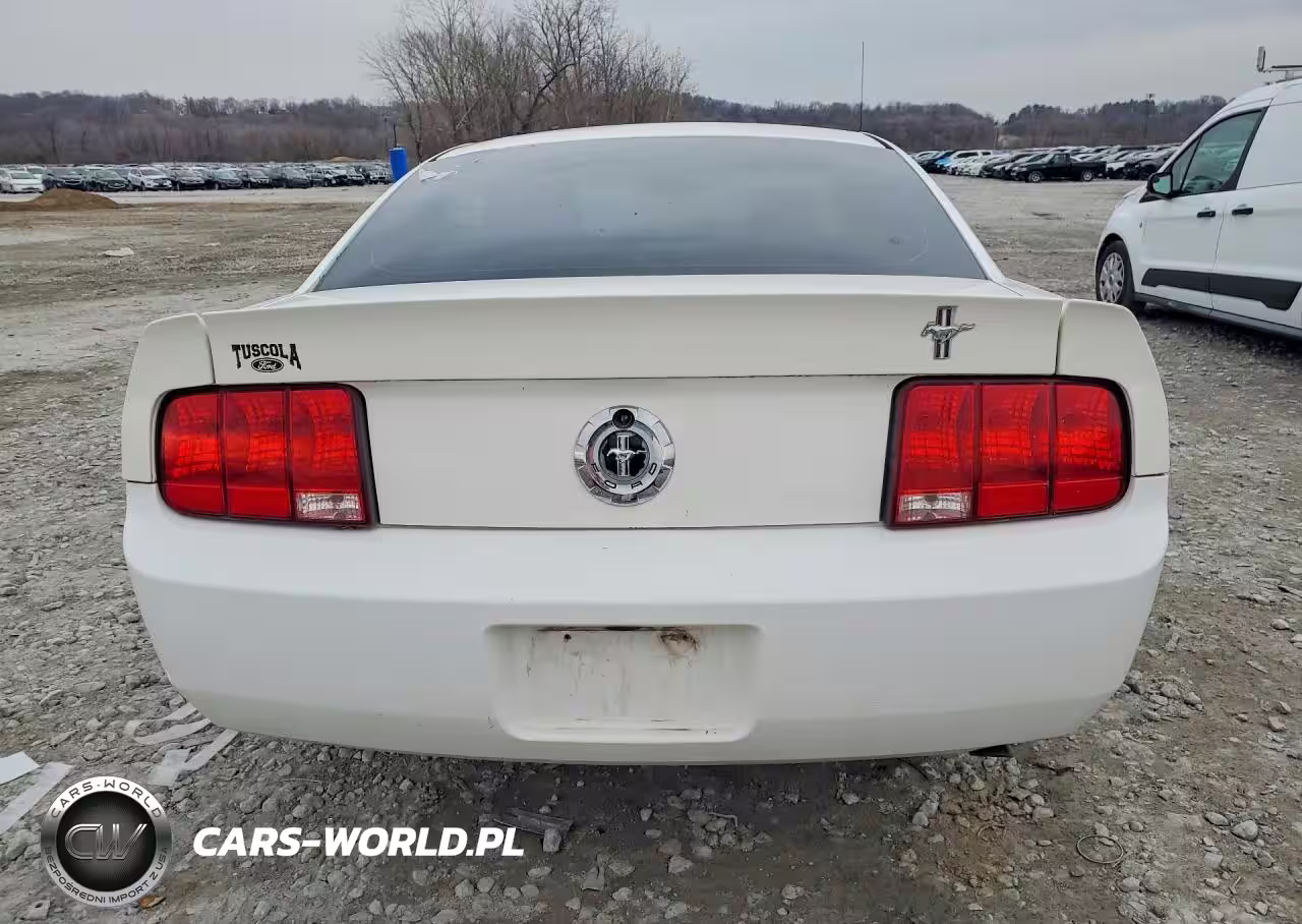 2005 Ford Mustang VIN:1ZVFT80N055191101 - 6
