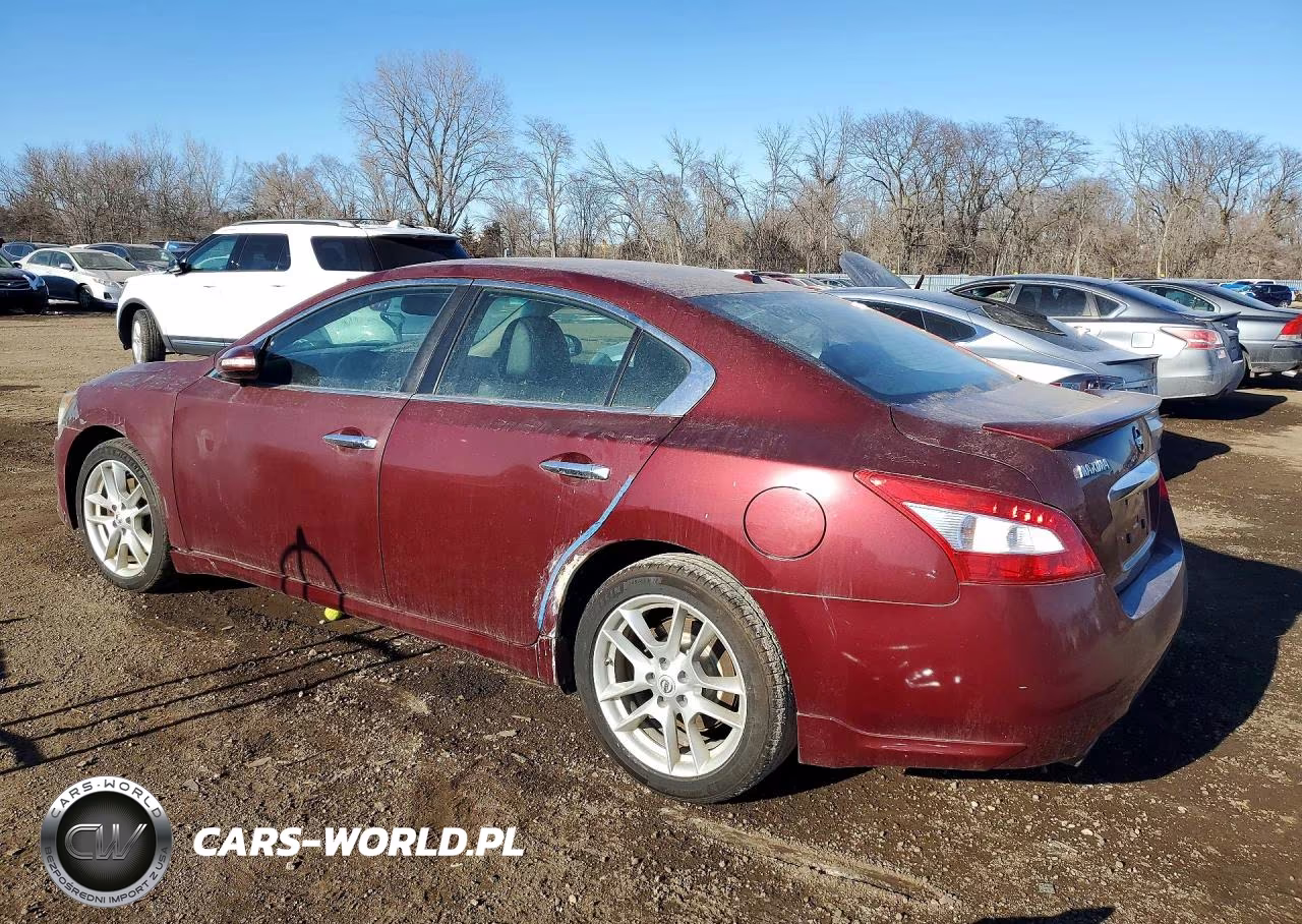 2011 Nissan Maxima VIN:1N4AA5AP2BC843022 - 2