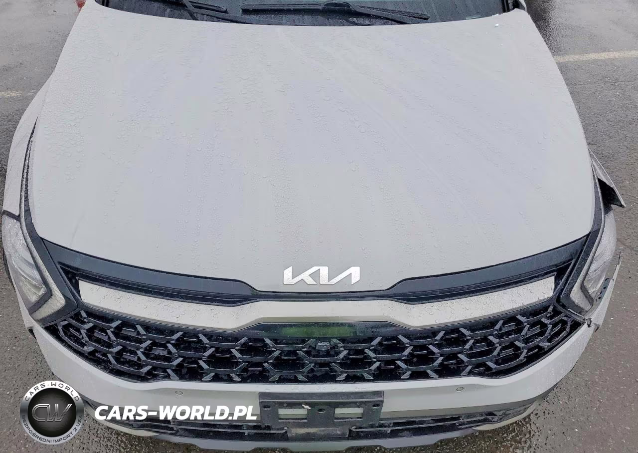 2023 Kia Sportage X-Pro Prestige VIN:5XYK7CAF2PG042487 - 12