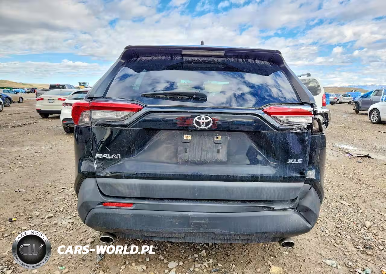 2019 Toyota Rav4 Xle Premium VIN:JTMC1RFV9KJ008483 - 6