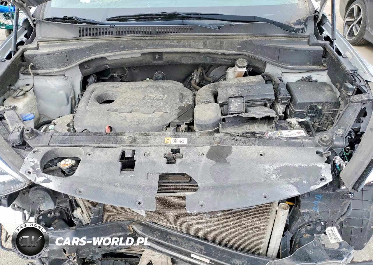 2018 Hyundai Santa Fe Sport 2.4L VIN:5XYZT3LB9JG557384 - 12