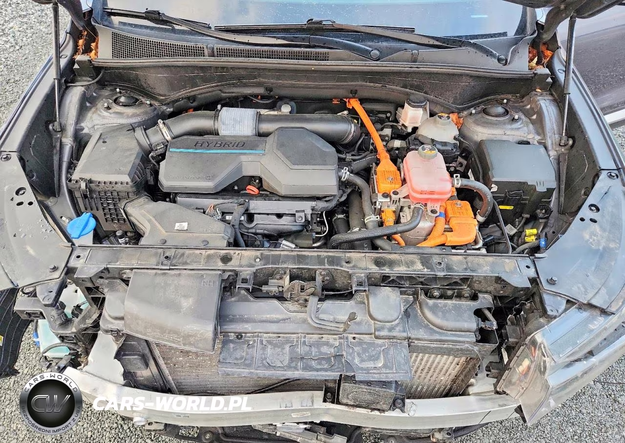2021 Hyundai Santa Fe Hybrid Limited Hev VIN:KM8S5DA17MU008728 - 12