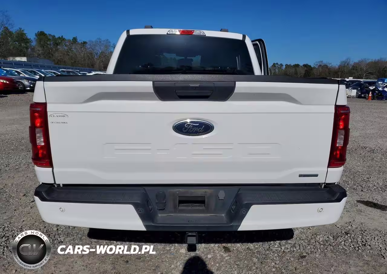 2023 Ford F150 Supercrew VIN:1FTEW1CP4PKF54577 - 6