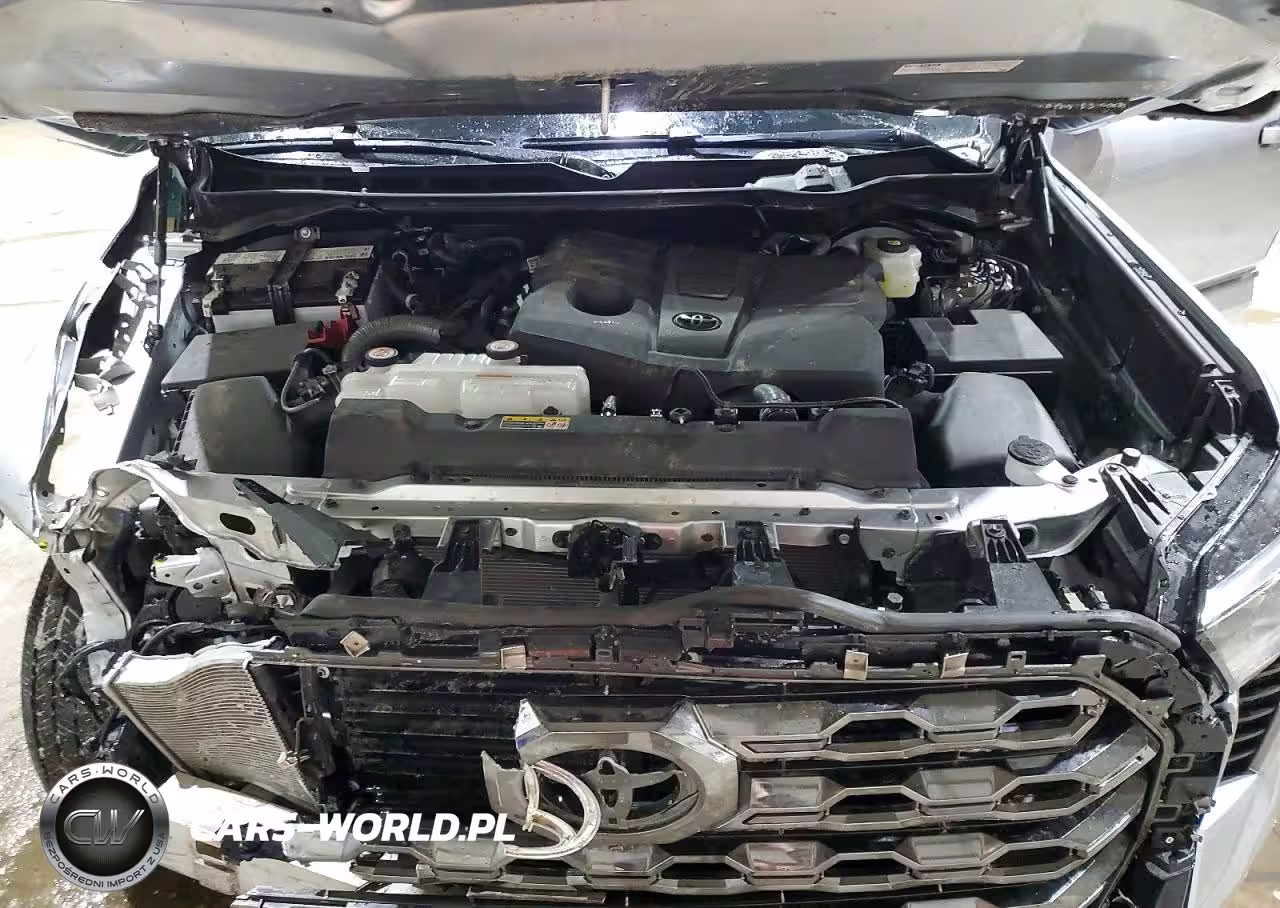 2025 Toyota Tundra Platinum VIN:5TFNA5DB3SX321407 - 11