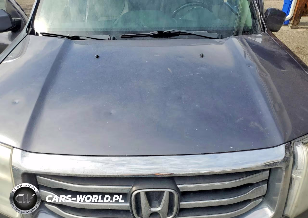 2015 Honda Pilot Exl VIN:5FNYF4H51FB039456 - 12