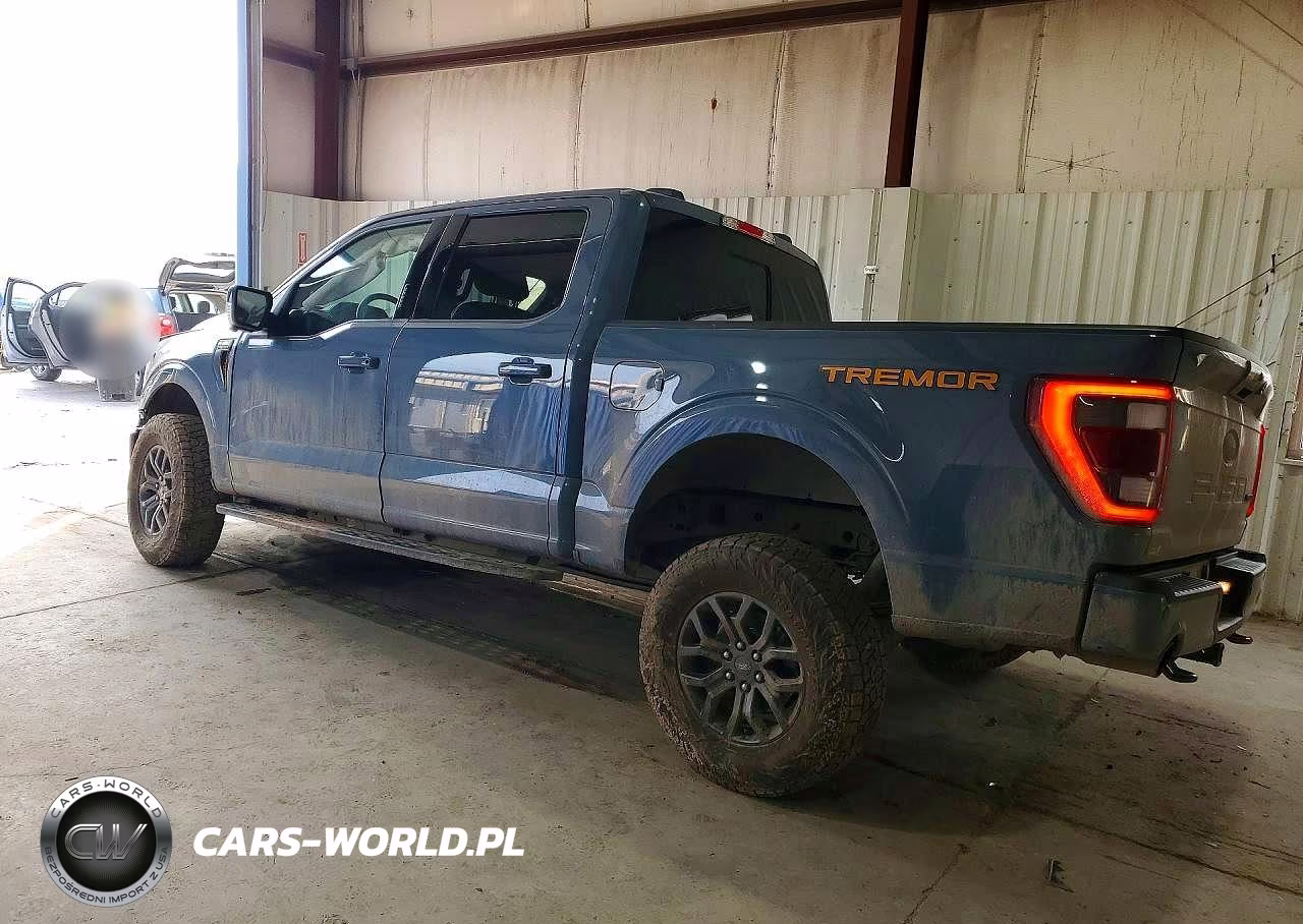 2023 Ford F150 Supercrew VIN:1FTEW1E81PFB36847 - 2
