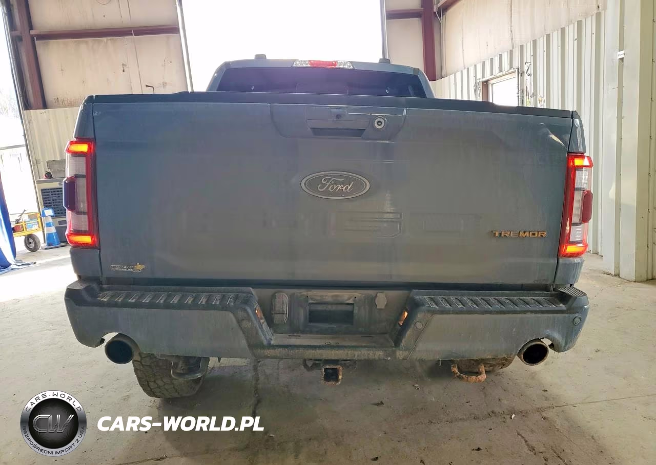 2023 Ford F150 Supercrew VIN:1FTEW1E81PFB36847 - 6
