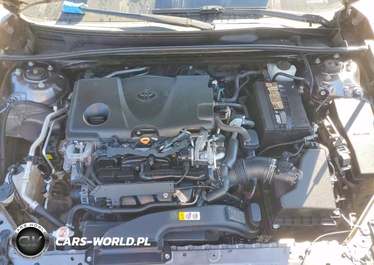 2019 Toyota Camry Le VIN:4T1B11HK0KU208100 - 11