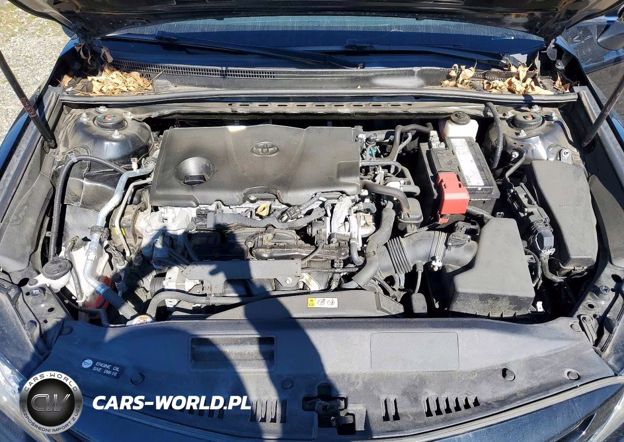 2019 Toyota Camry Xse VIN:4T1B61HK1KU729134 - 11