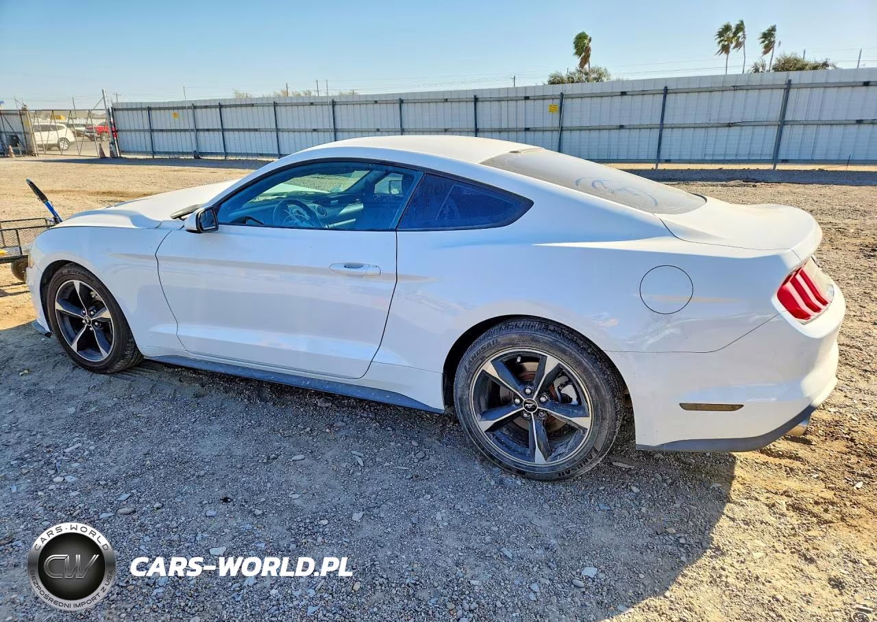 2018 Ford Mustang VIN:1FA6P8TH5J5128489 - 2