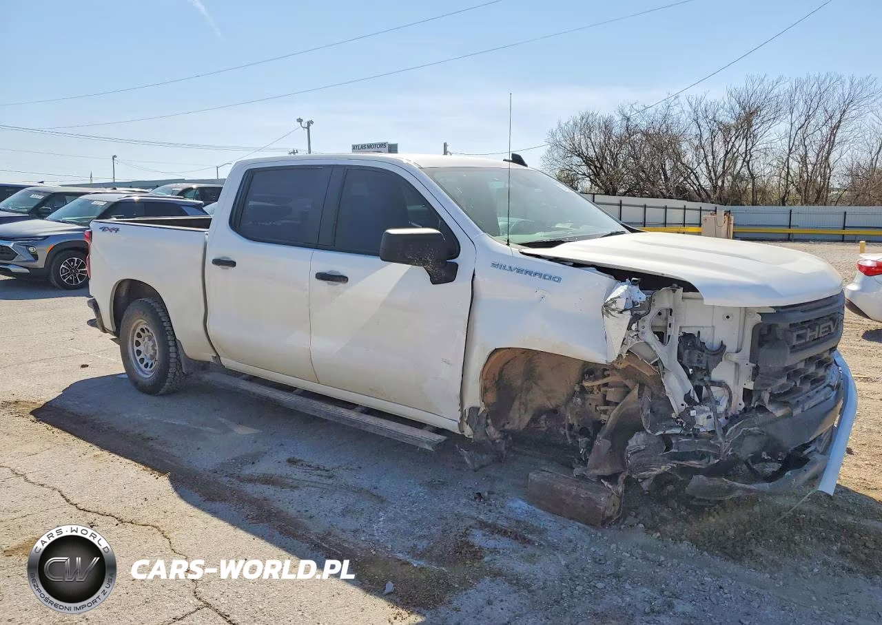 2025 Chevrolet Silverado K1500 VIN:2GCUKAED9S1171365 - 4