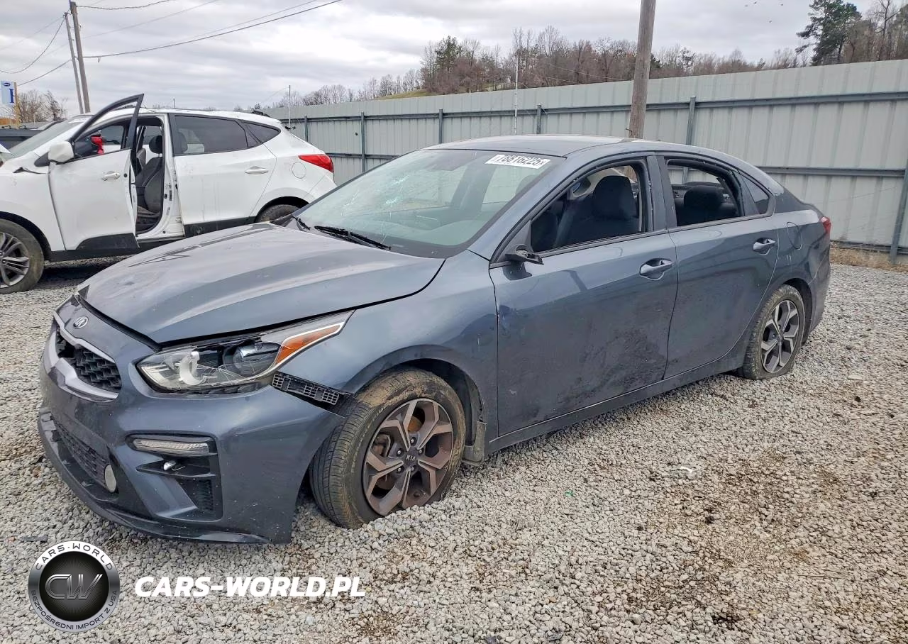 2019 Kia Forte Lxs