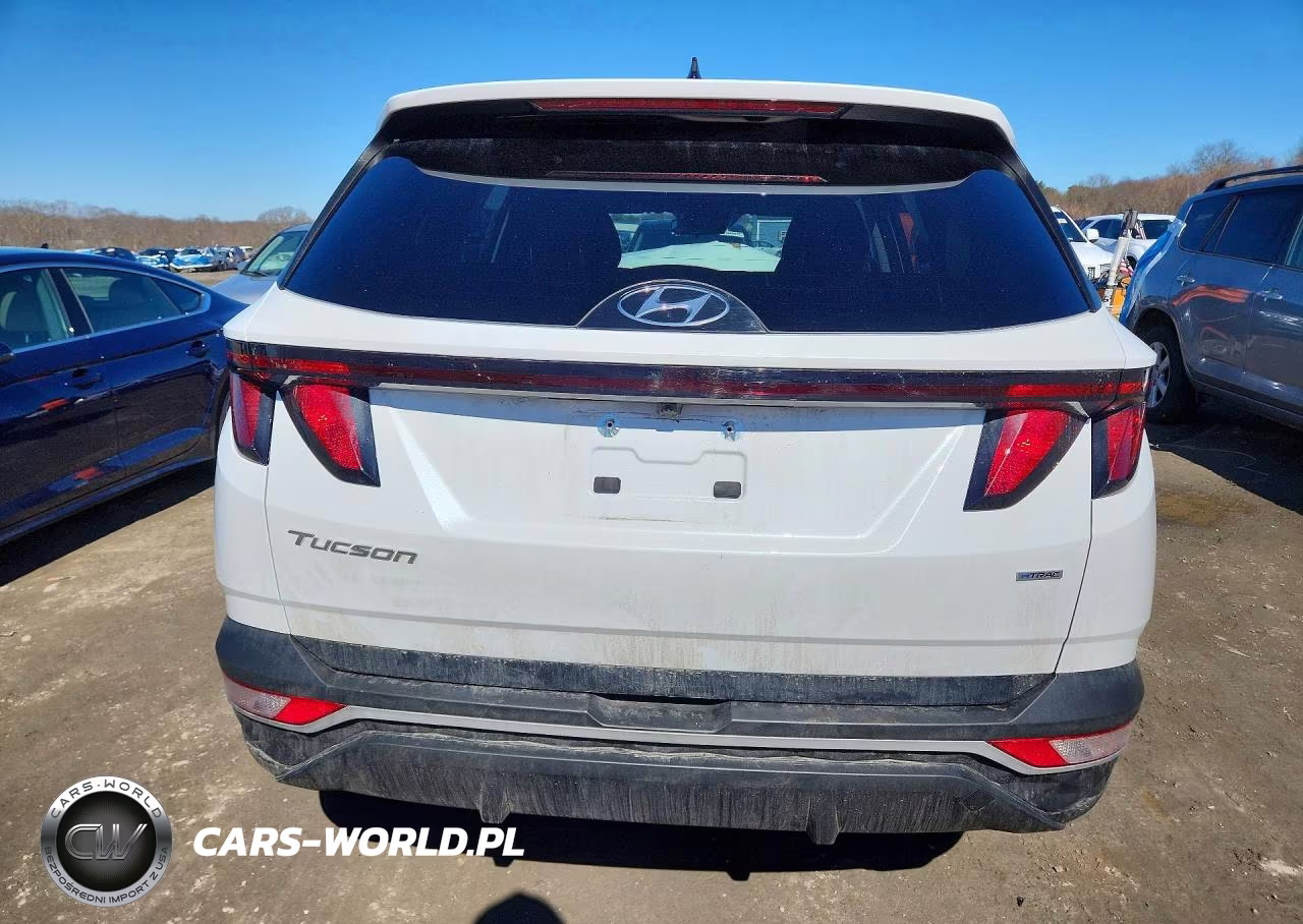 2024 Hyundai Tucson Sel VIN:KM8JBCDEXRU315220 - 6