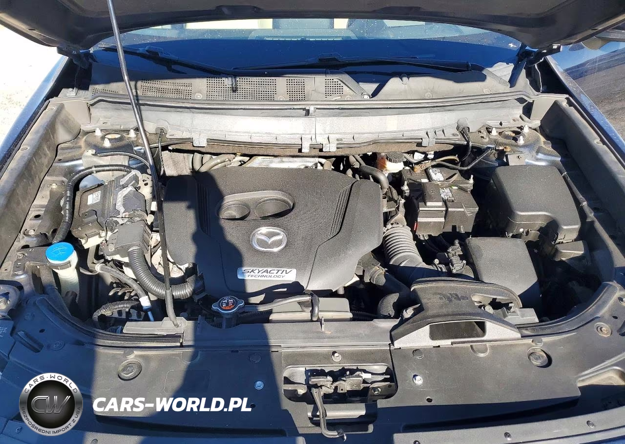2018 Mazda Cx-9 Touring VIN:JM3TCBDY5J0207296 - 12
