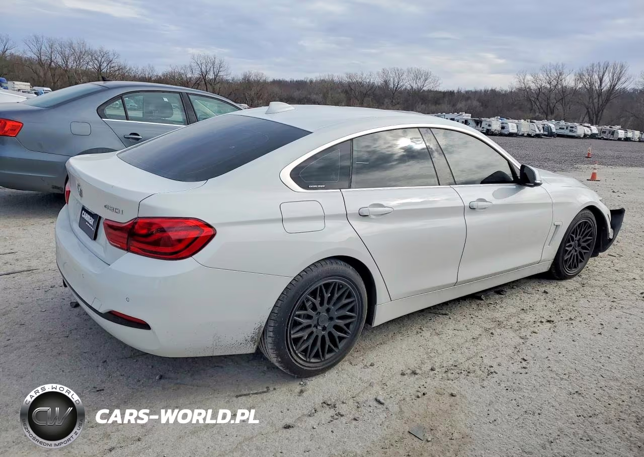 2019 BMW 430I Gran Coupe VIN:WBA4J1C56KBM18238 - 3