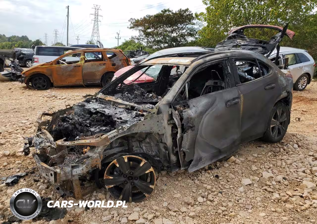 2019 Lexs Ux 200 Bas