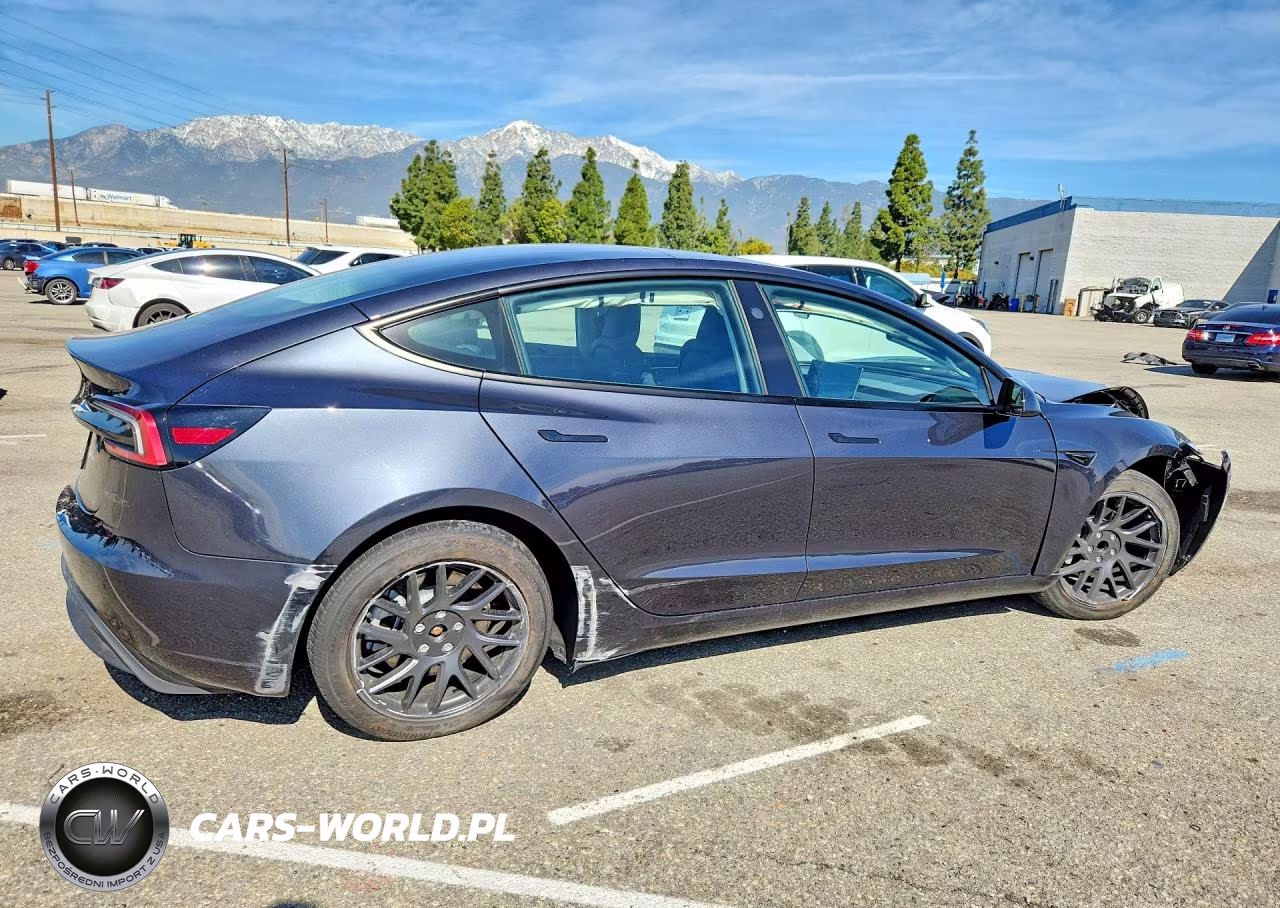 2025 Tesla Model 3 VIN:5YJ3E1EA1SF020493 - 3