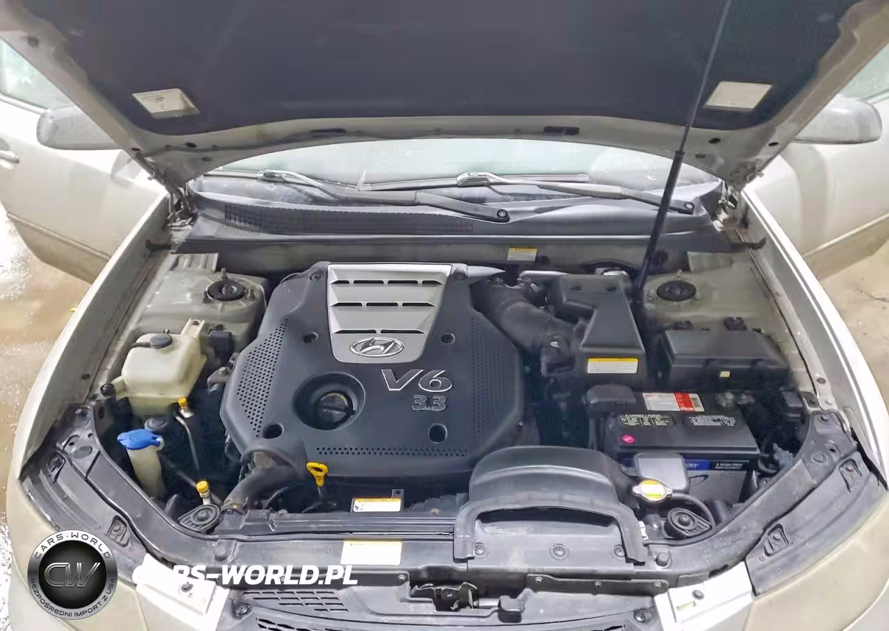 2006 Hyundai Sonata Gls V6 VIN:5NPEU46F56H094899 - 11