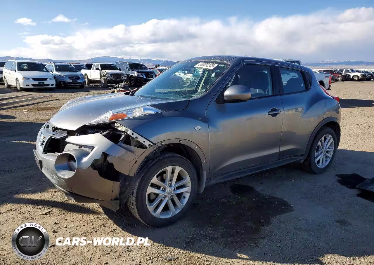 2013 Nissan Juke Nismo Rs