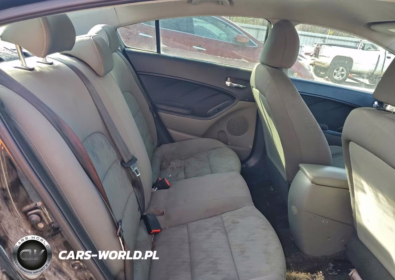 2015 Kia Forte Lx VIN:KNAFK4A62F5429034 - 10