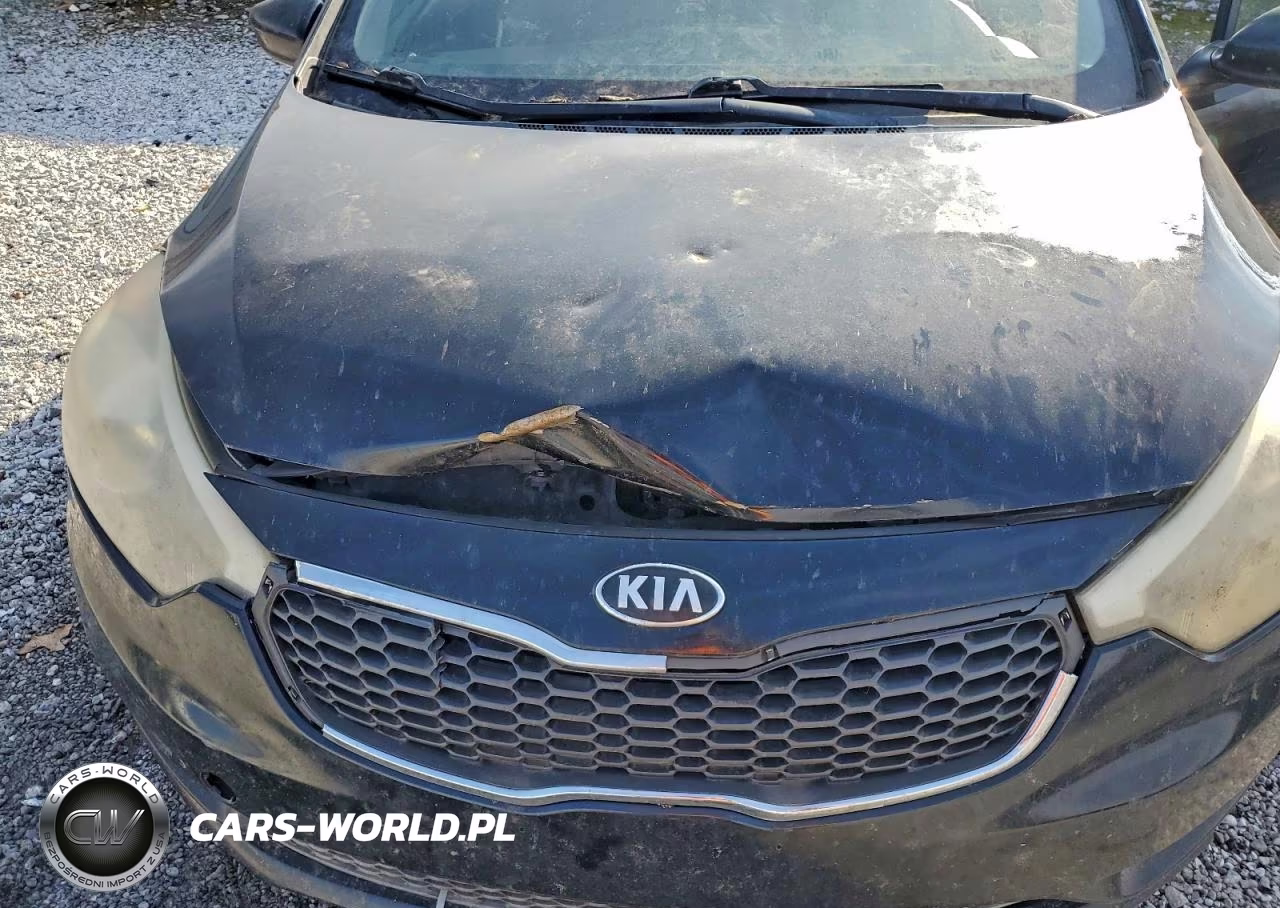2015 Kia Forte Lx VIN:KNAFK4A62F5429034 - 11