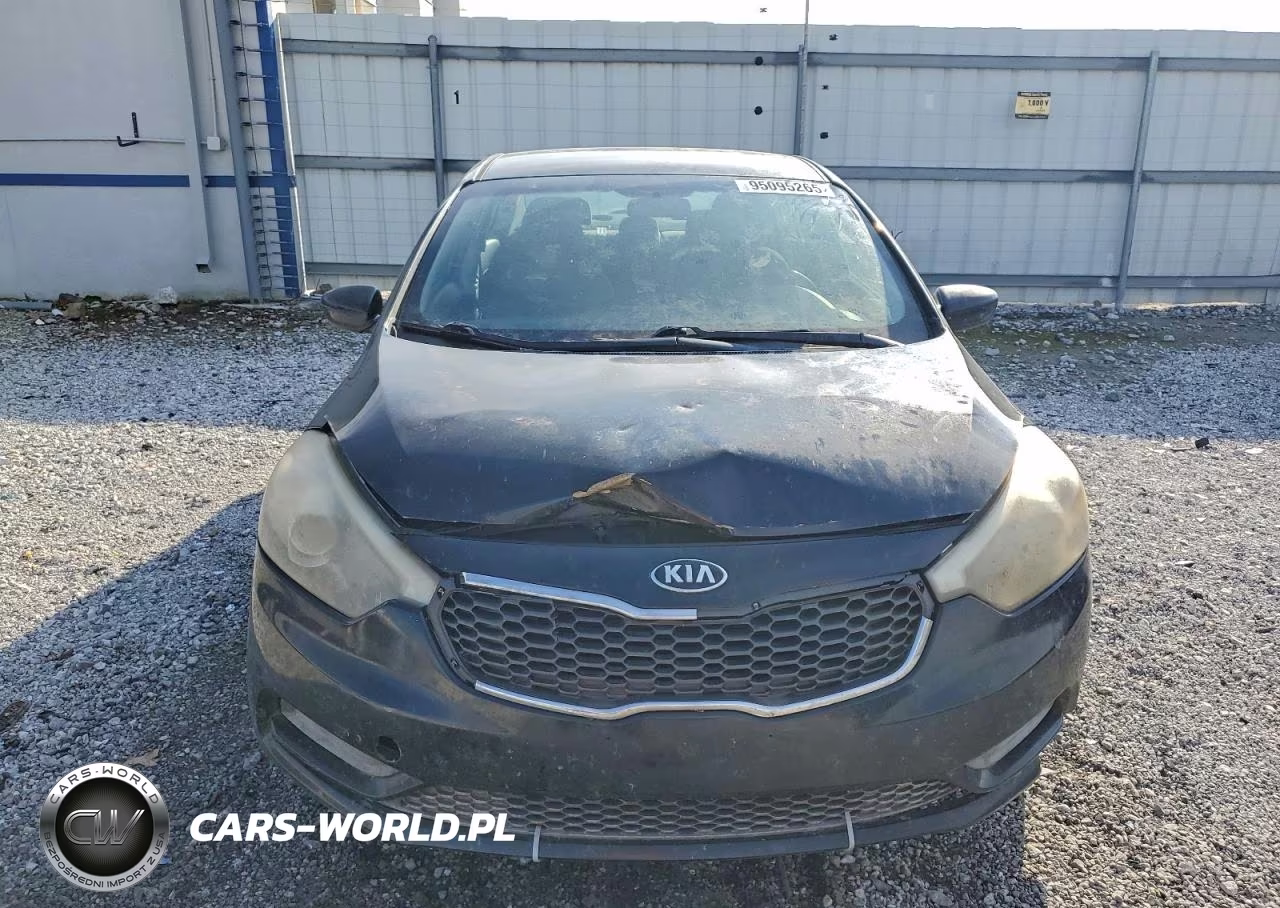 2015 Kia Forte Lx VIN:KNAFK4A62F5429034 - 5