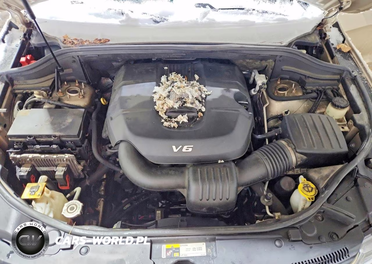 2014 Jeep Grand Cherokee Laredo VIN:1C4RJFAG9EC262513 - 12