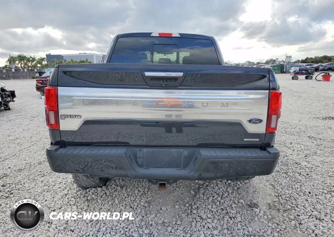 2020 Ford F150 Supercrew VIN:1FTEW1E43LFC12950 - 6